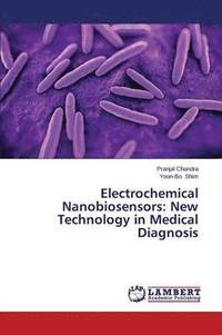 bokomslag Electrochemical Nanobiosensors