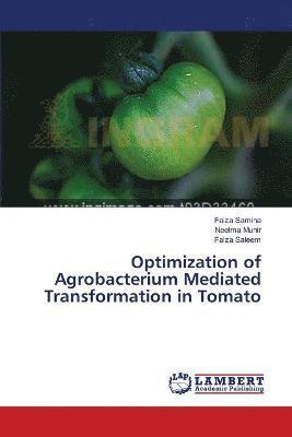 Optimization of Agrobacterium Mediated Transformation in Tomato 1