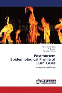 bokomslag Postmortem Epidemiological Profile of Burn Cases