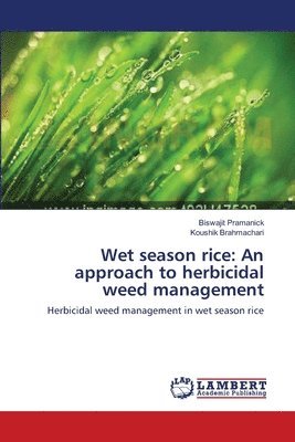 Wet season rice 1