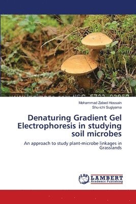 Denaturing Gradient Gel Electrophoresis in studying soil microbes 1