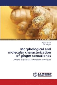bokomslag Morphological and molecular characterization of ginger somaclones