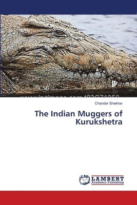 The Indian Muggers of Kurukshetra 1