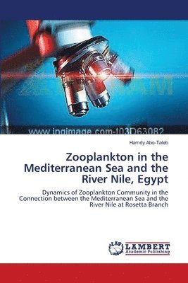 Zooplankton in the Mediterranean Sea and the River Nile, Egypt 1