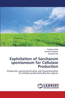 Exploitation of Saccharum spontaneum for Cellulase Production 1