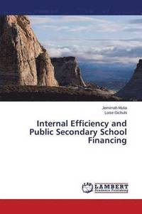 bokomslag Internal Efficiency and Public Secondary School Financing