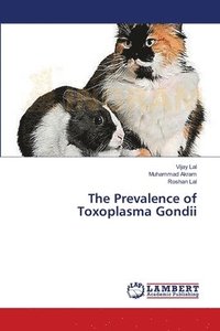 bokomslag The Prevalence of Toxoplasma Gondii