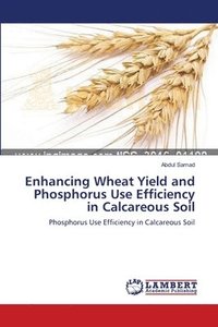bokomslag Enhancing Wheat Yield and Phosphorus Use Efficiency in Calcareous Soil