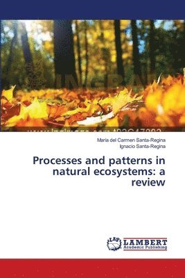 Processes and patterns in natural ecosystems 1