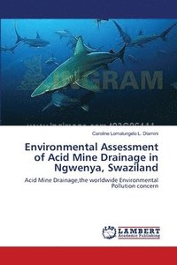 bokomslag Environmental Assessment of Acid Mine Drainage in Ngwenya, Swaziland