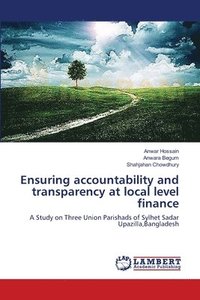 bokomslag Ensuring accountability and transparency at local level finance