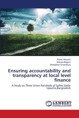 Ensuring accountability and transparency at local level finance 1