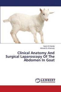 bokomslag Clinical Anatomy and Surgical Laparoscopy of the Abdomen in Goat