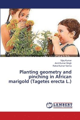 Planting geometry and pinching in African marigold (Tagetes erecta L.) 1