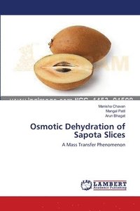 bokomslag Osmotic Dehydration of Sapota Slices
