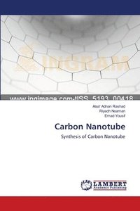 bokomslag Carbon Nanotube