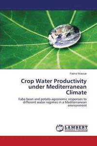 bokomslag Crop Water Productivity under Mediterranean Climate