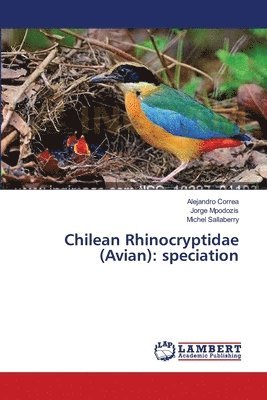 Chilean Rhinocryptidae (Avian) 1