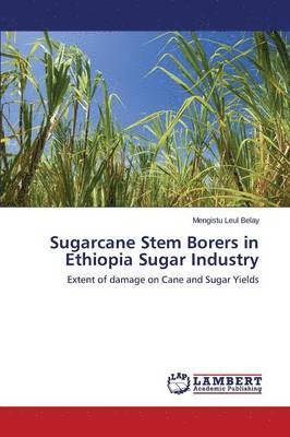 Sugarcane Stem Borers in Ethiopia Sugar Industry 1