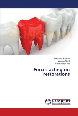 Forces acting on restorations 1