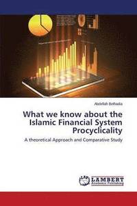 bokomslag What we know about the Islamic Financial System Procyclicality