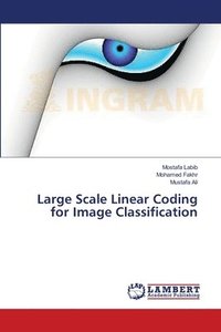 bokomslag Large Scale Linear Coding for Image Classification