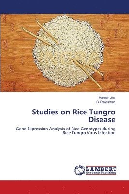 bokomslag Studies on Rice Tungro Disease