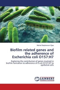 bokomslag Biofilm related genes and the adherence of Escherichia coli O157