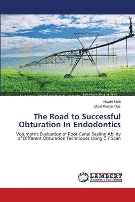 Niladri Maiti, Utpal Kumar Das - Road to Successful Obturation In Endodontics, Häftad