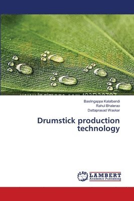Drumstick production technology 1