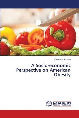 bokomslag A Socio-economic Perspective on American Obesity