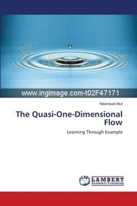 bokomslag The Quasi-One-Dimensional Flow