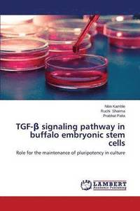 bokomslag TGF-&#946; signaling pathway in buffalo embryonic stem cells