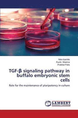 TGF-&#946; signaling pathway in buffalo embryonic stem cells 1