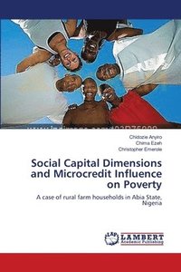 bokomslag Social Capital Dimensions and Microcredit Influence on Poverty