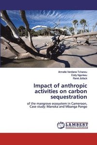 bokomslag Impact of anthropic activities on carbon sequestration