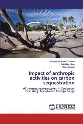 bokomslag Impact of anthropic activities on carbon sequestration