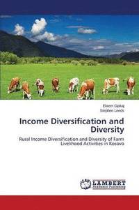 bokomslag Income Diversification and Diversity