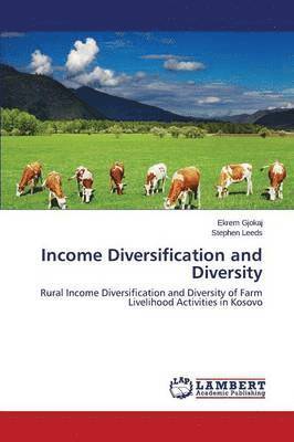 bokomslag Income Diversification and Diversity