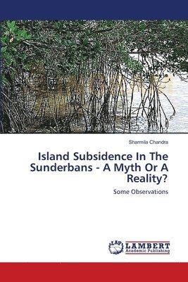 bokomslag Island Subsidence In The Sunderbans - A Myth Or A Reality?