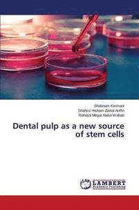 bokomslag Dental Pulp as a New Source of Stem Cells