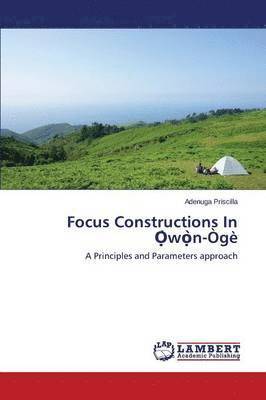 Focus Constructions In &#7884;&#768;w&#7885;&#768;n-g 1