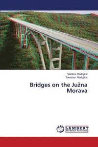 bokomslag Bridges on the Ju Na Morava