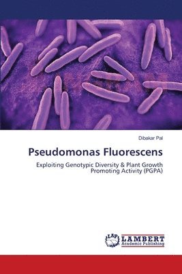 Pseudomonas Fluorescens 1