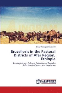 bokomslag Brucellosis in the Pastoral Districts of Afar Region, Ethiopia