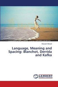bokomslag Language, Meaning and Spacing
