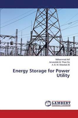 Energy Storage for Power Utility 1