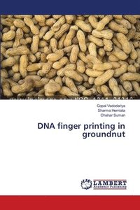 bokomslag DNA finger printing in groundnut