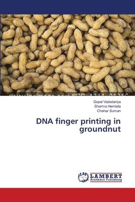 DNA finger printing in groundnut 1