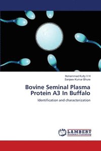 bokomslag Bovine Seminal Plasma Protein A3 In Buffalo